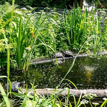 Prázdninový dům Haus Am See Königs Wusterhausen