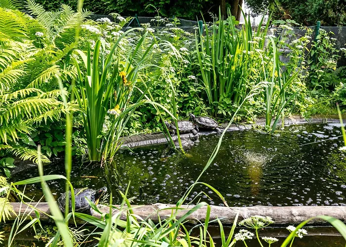 Сasa de vacaciones Haus Am See Königs Wusterhausen